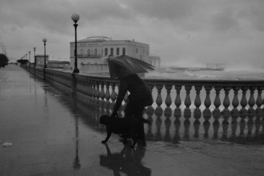 ...porto fuori il cane...