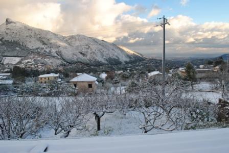 Neve a Palermo
