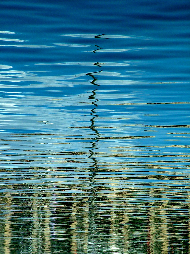 Quando non ho pi� blu, metto del rosso. (Picasso)