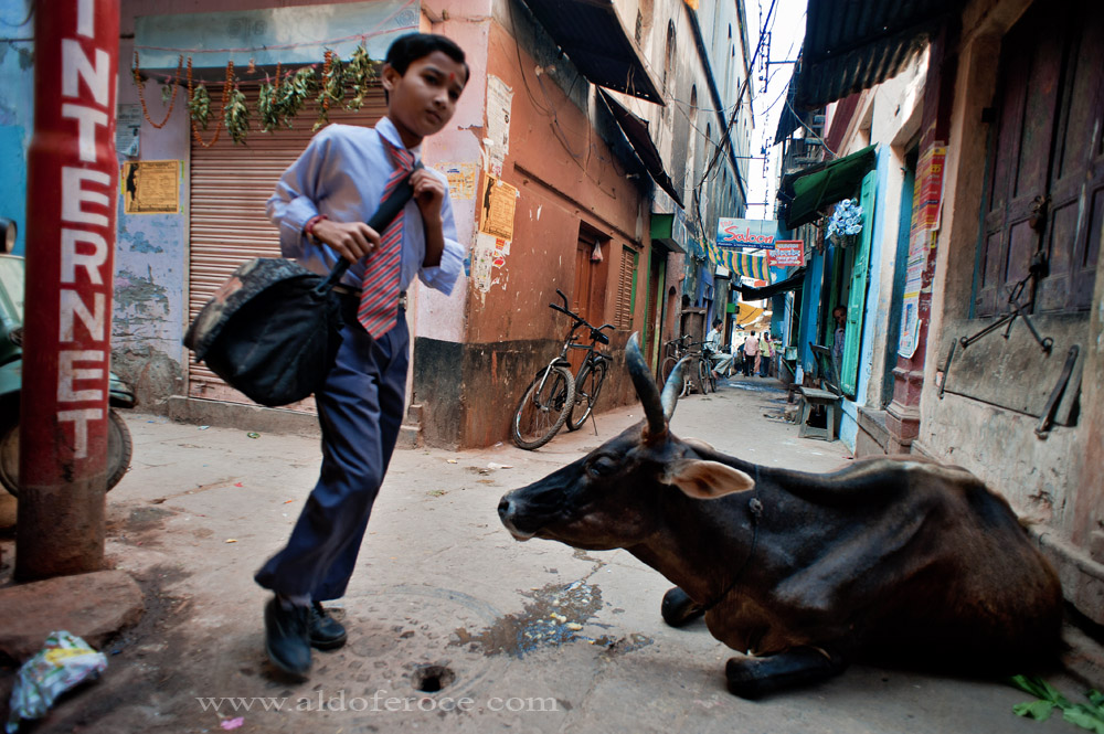 the Incredible India 3