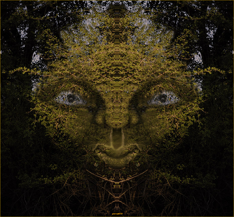 La signora dei boschi