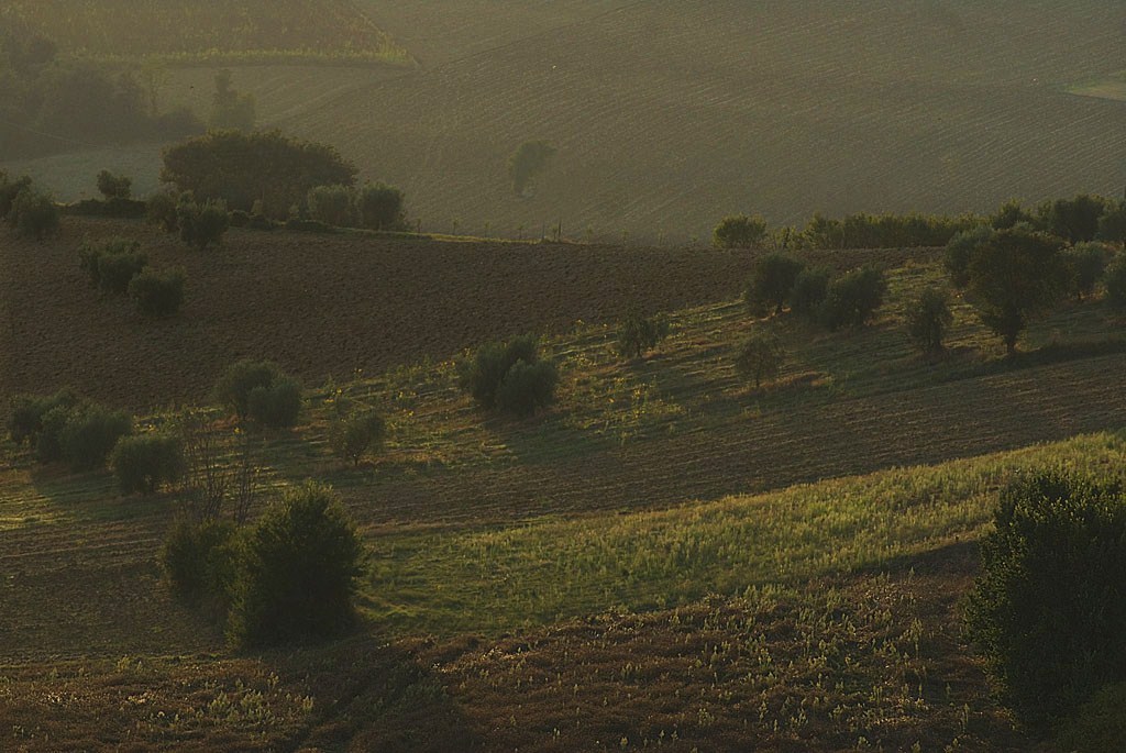 paesaggio umbro 2