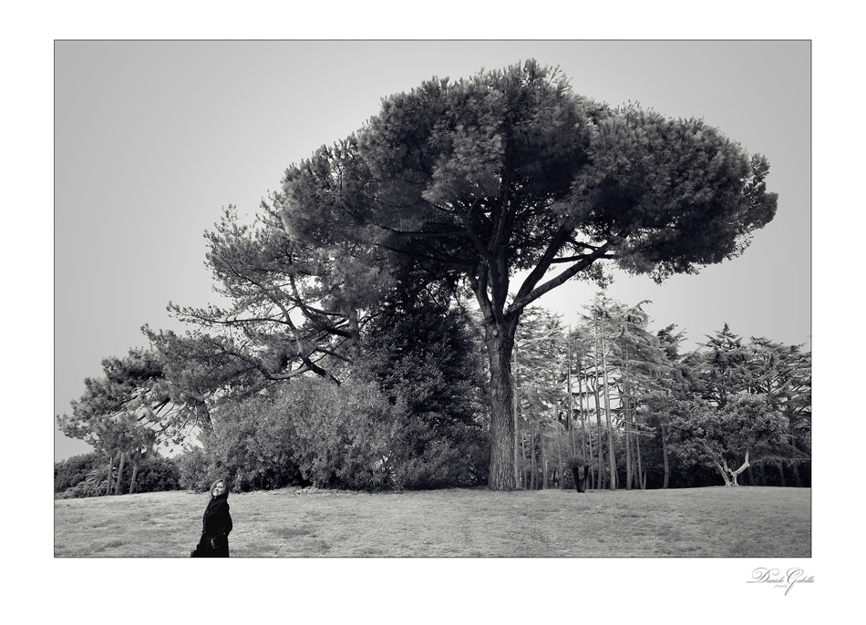 Bosco di capodimonte