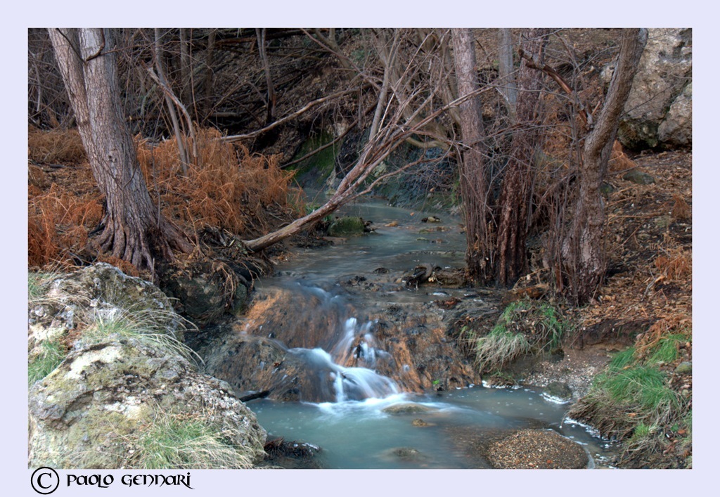 i colori dell'inverno