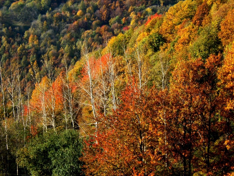 autunno in val sangone