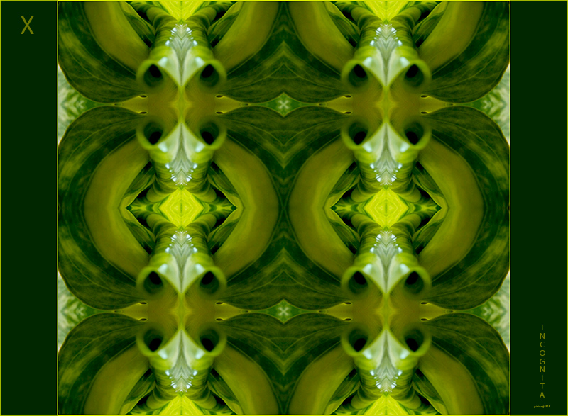 X incognita naturale