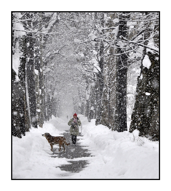 Nulla ci puo' fermar...