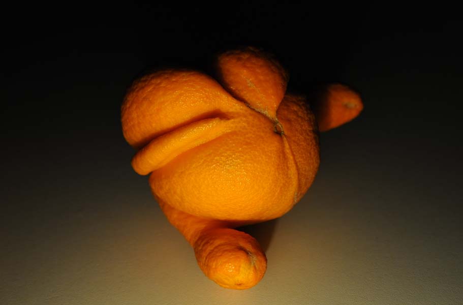 Sculture della natura 2