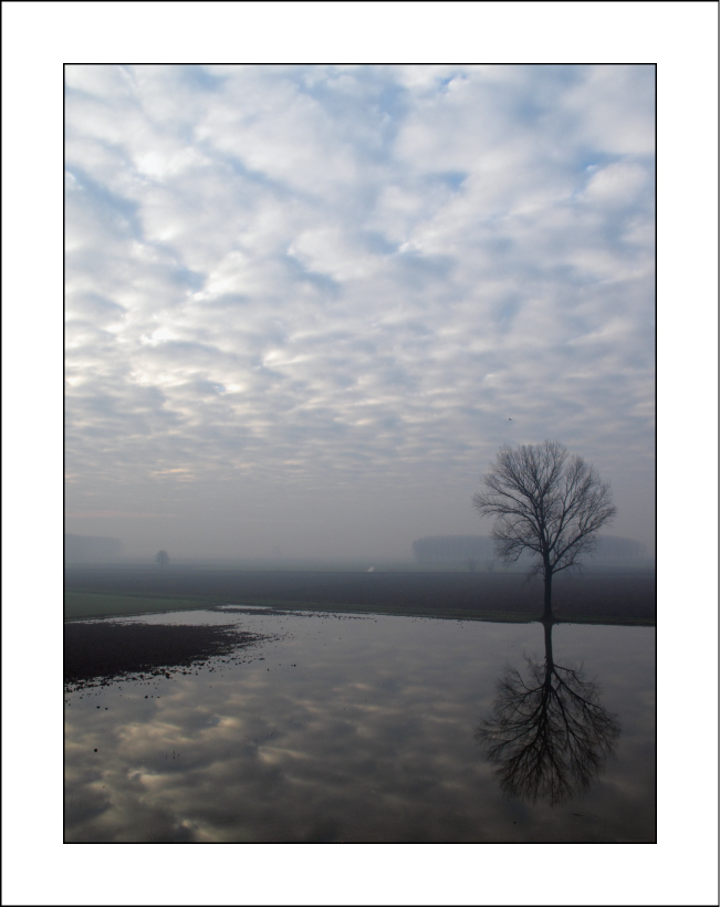 Felice Anno Nuovo a tutti