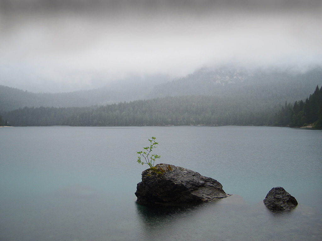 La vita � ovunque...