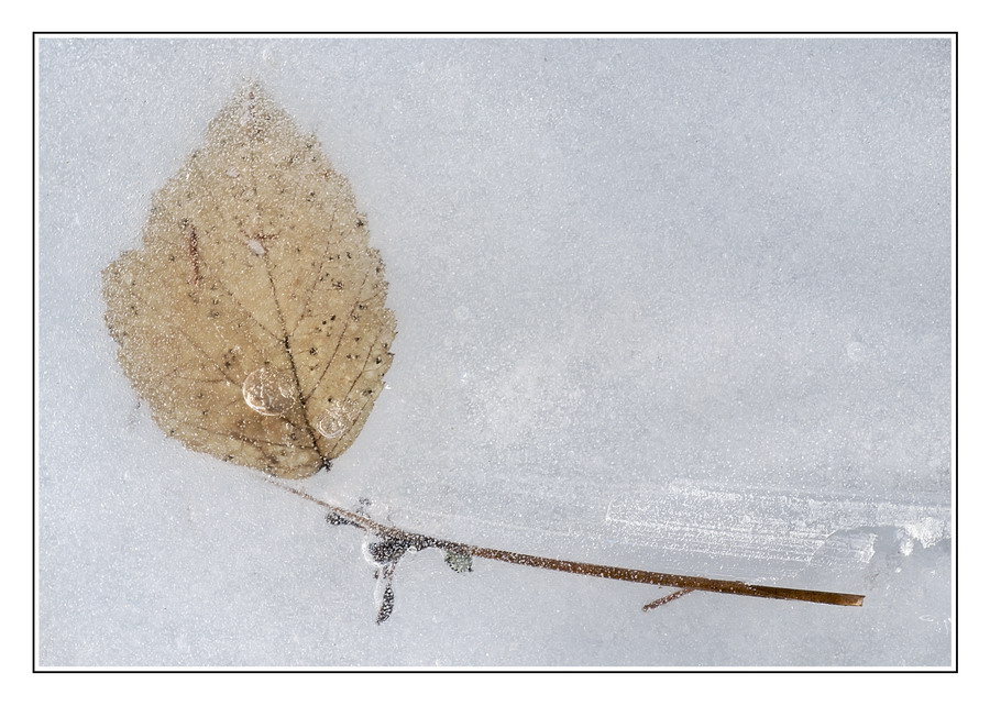 Nella morsa del ghiaccio