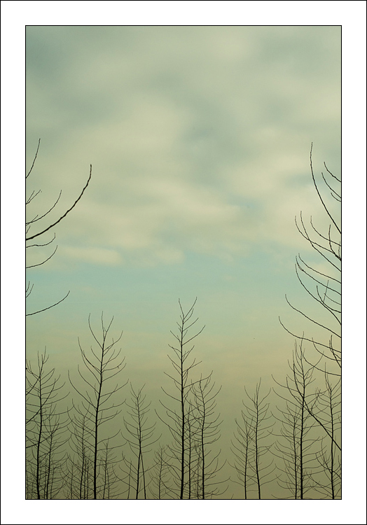 Solletico alle nuvole