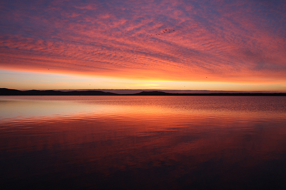 LAGUNA DI ORBETELLO........