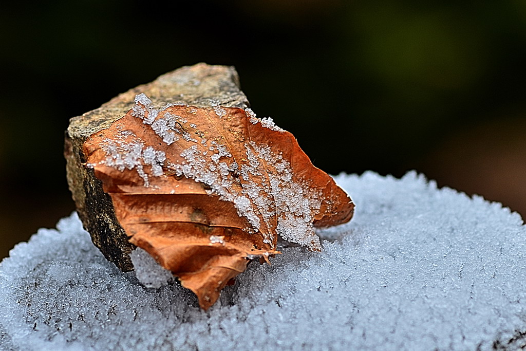 Sasso Brina e foglia