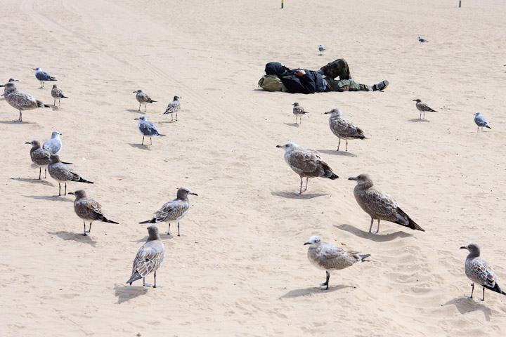 new york - coney island 2009