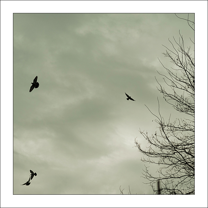 Forme di un silenzio