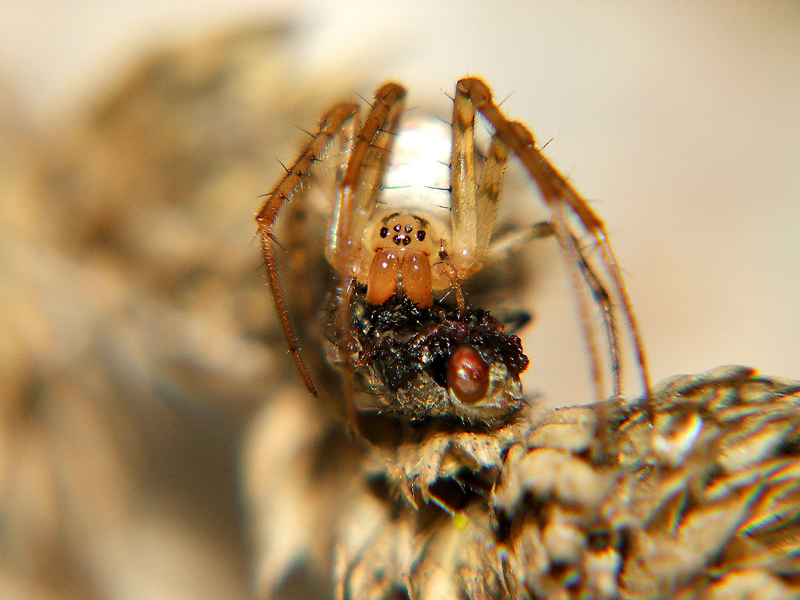 � ora della pappaaaaaaaaaaaaa!!!!!!!