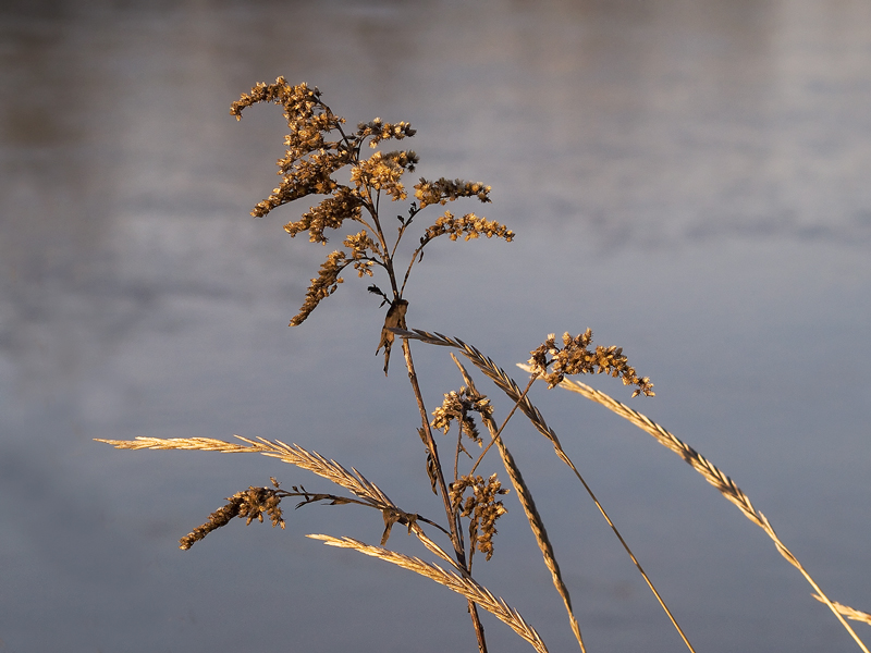 ...semplice....molto...