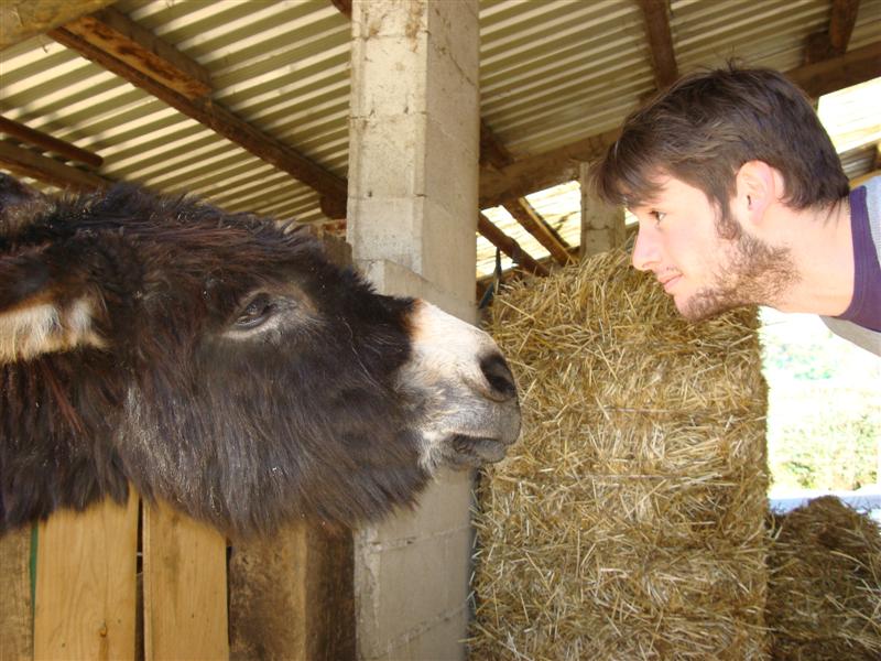 Intesa..................