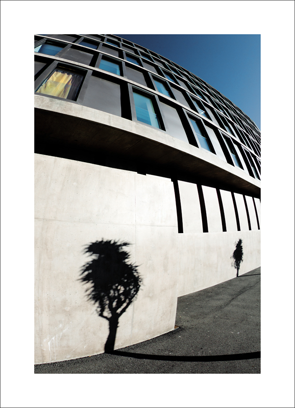 tra reale e surreale