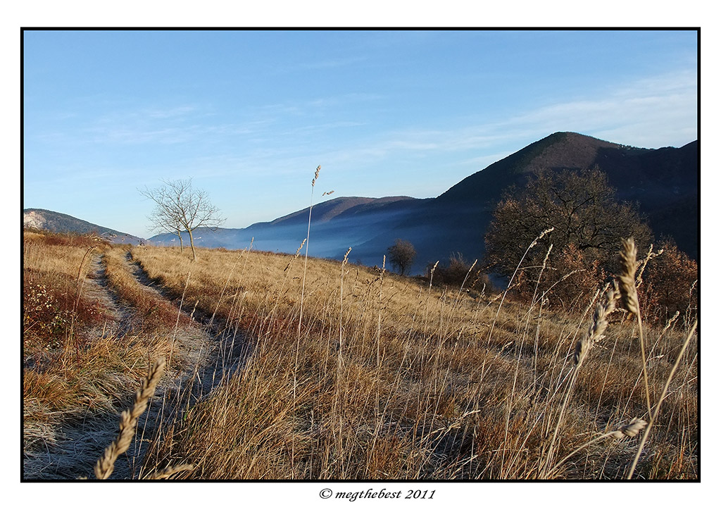 desktop background 1