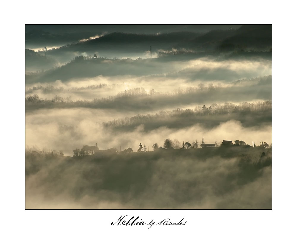 Nebbia