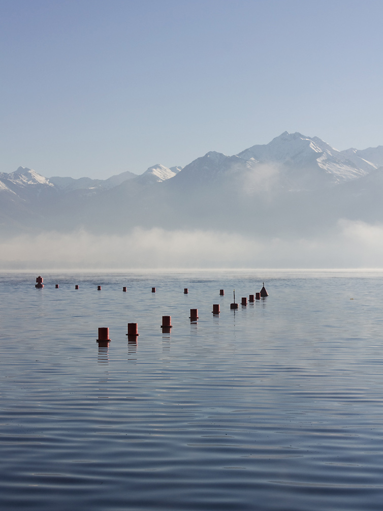 i soliti birilli rossi...