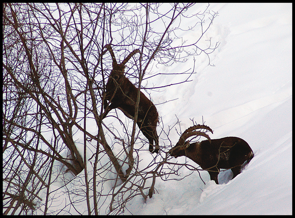 Sicuro si passi di qua?...