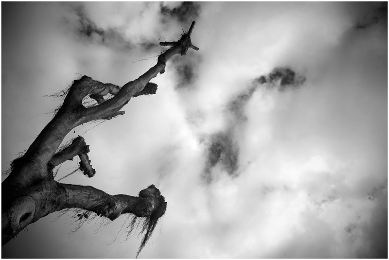 Spoglio.. d'inverno..