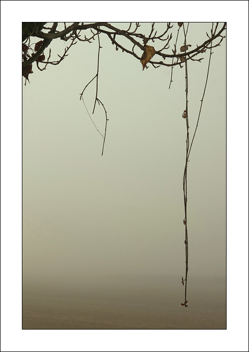 Istantanea di un silenzio