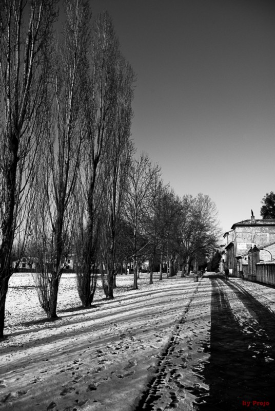 ...e fuori nevica 01