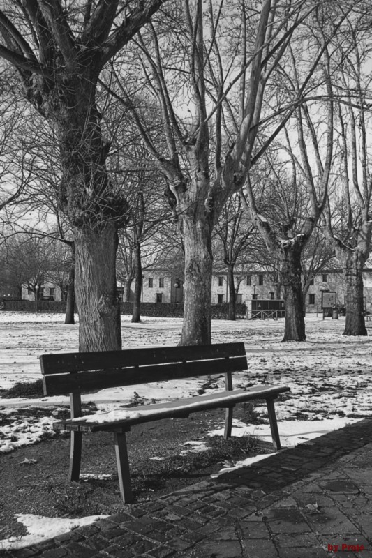 ...e fuori nevica 02