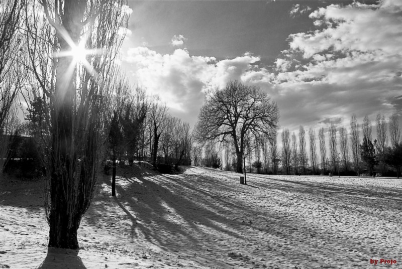 ...e fuori nevica 03