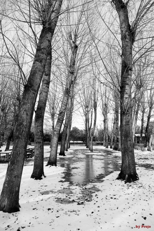 ...e fuori nevica 04