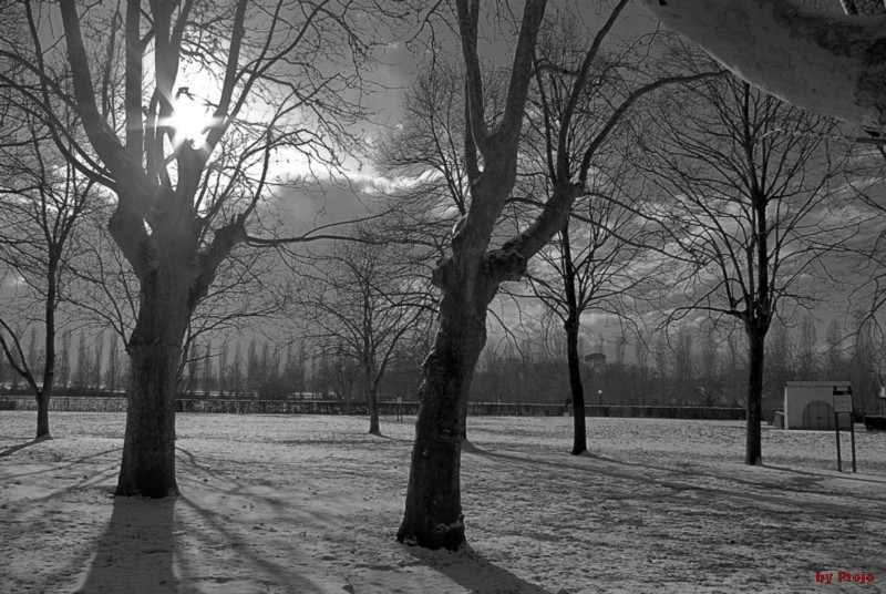 ...e fuori nevica 05