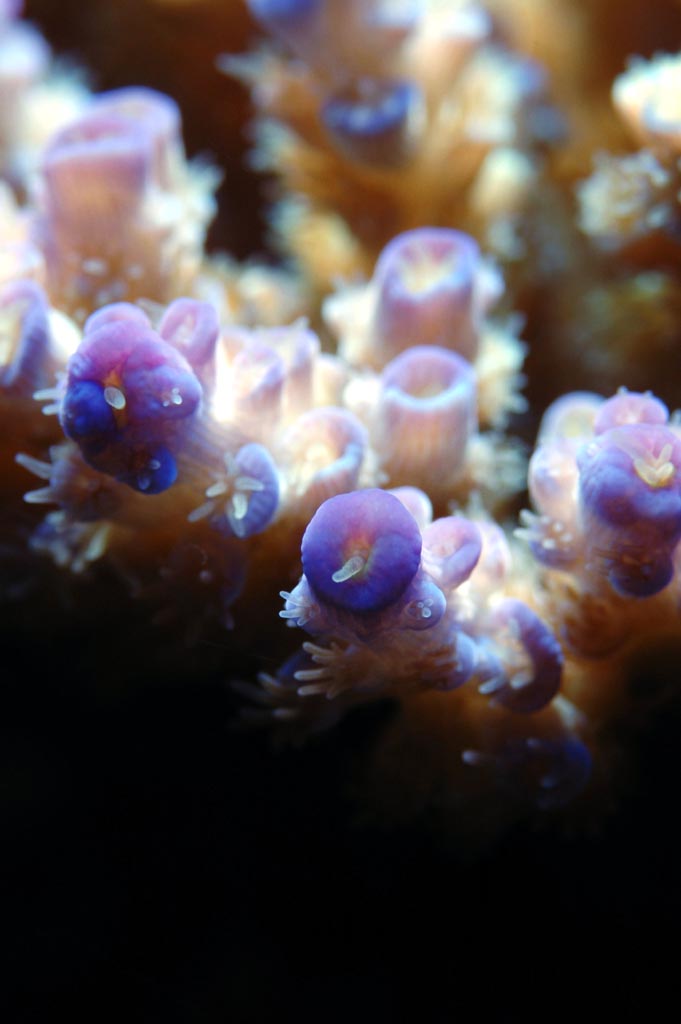 Uno scorcio della mia vasca