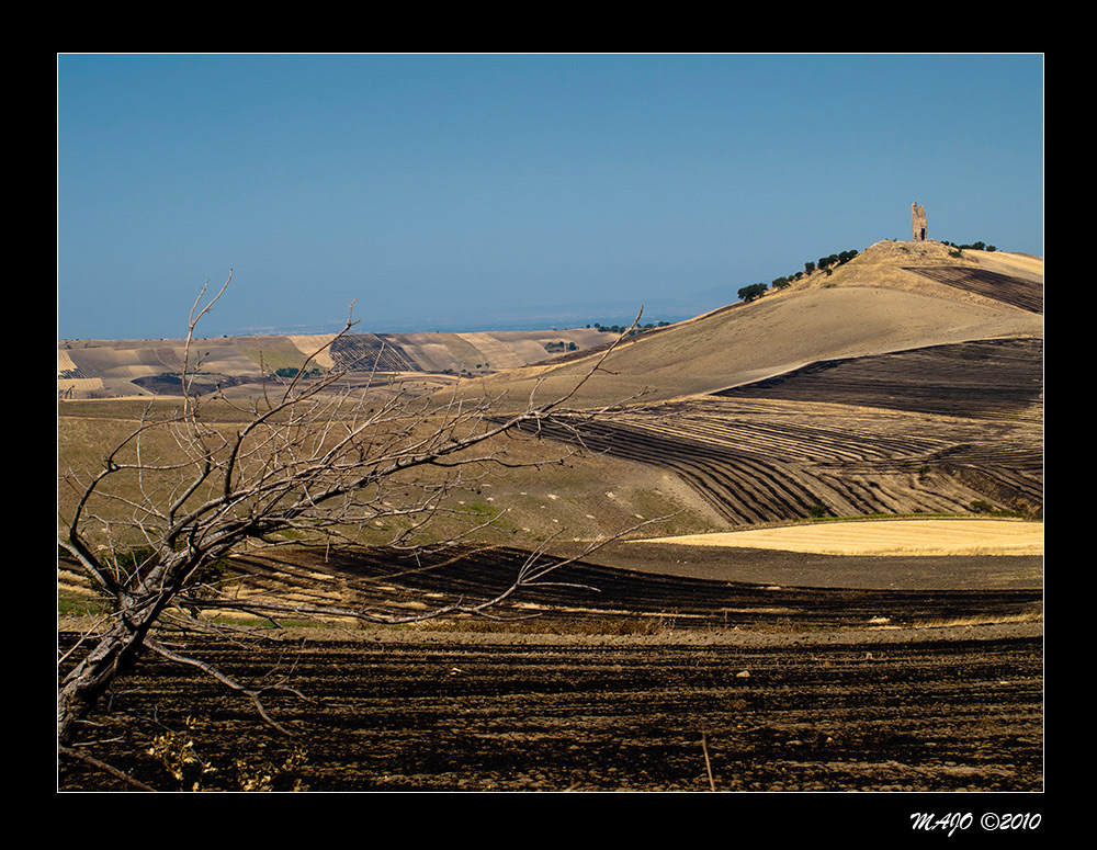 Motta Montecorvino (FG) - Paesaggio