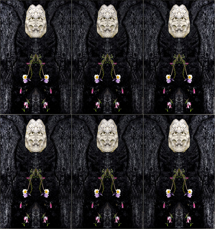 Domani un'altro giorno arriver� lo stesso