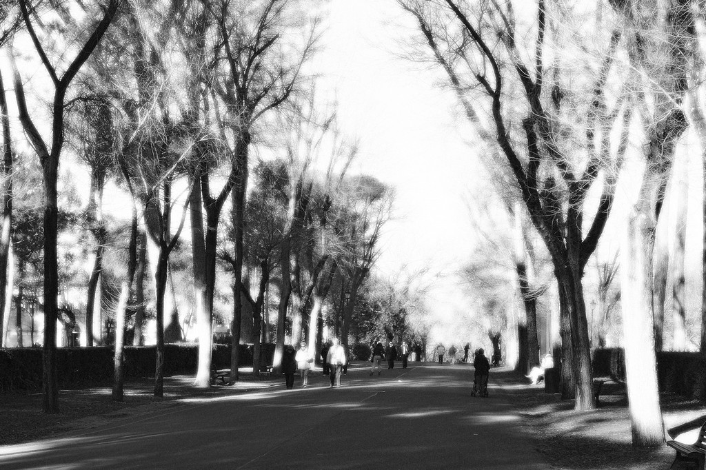 passeggiando a villa borghese