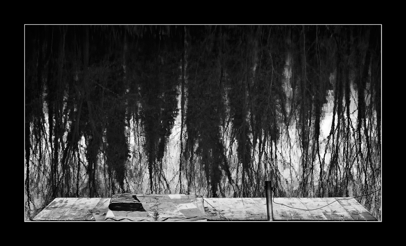 Reno my River