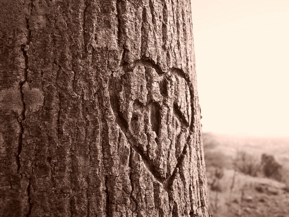 Un amore segnato....