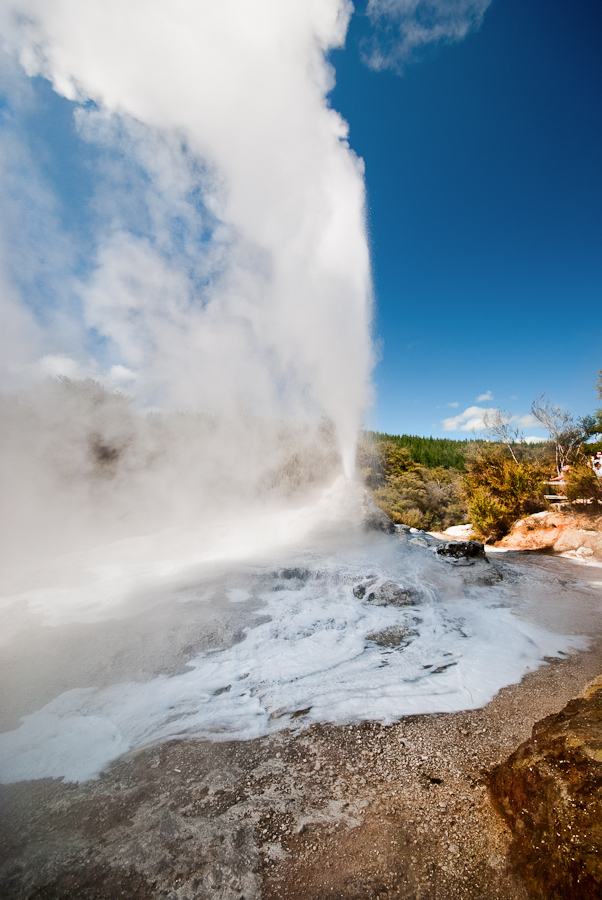 Lady Knox geyser