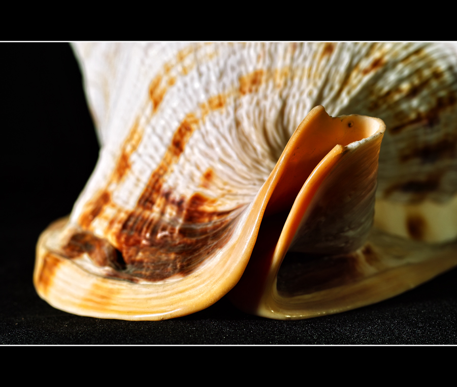 Sinuosa curva