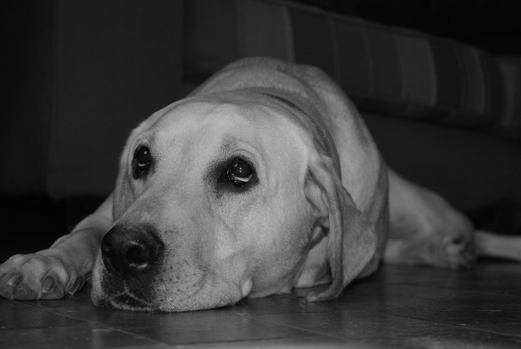 ...uffa...come sei alto...