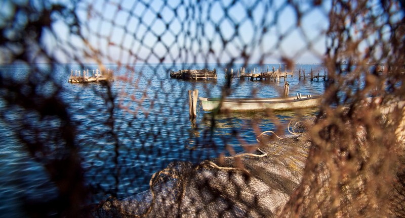 al di l� della rete..