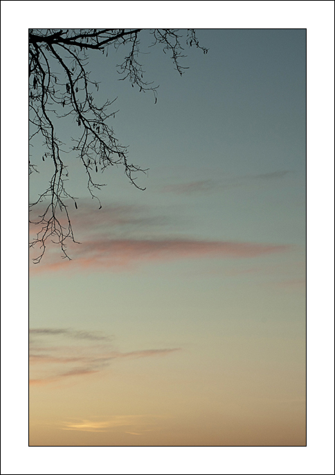 Sul finire della sera..