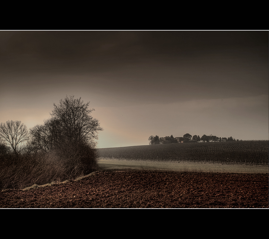 La mia campagna a modo mio #II