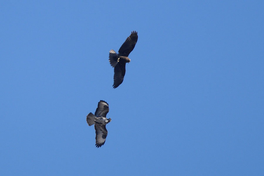 .................................