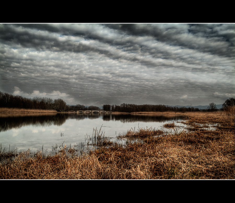 La mia campagna a modo mio #IV