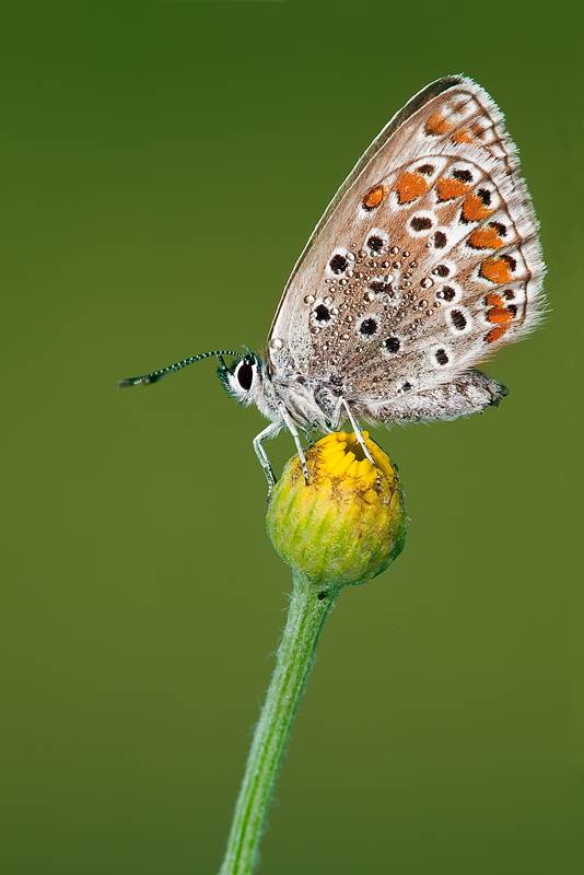 ...accarezzata dai primi raggi di sole...